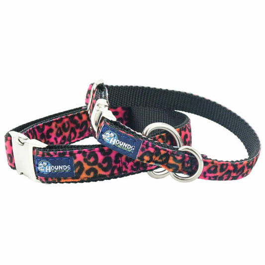 Wild Kitty Velvet Essential Buckle Martingale Dog Collar