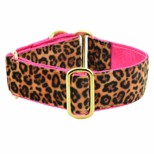 Soft Kitty Elite Velvet Martingale Dog Collar (Multiple Lining Color Options)