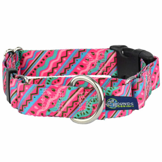 1980’s Buckle Martingale Dog Collar – EarthStyle