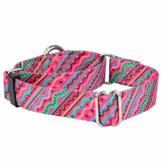 1980’s Martingale Dog Collar – EarthStyle