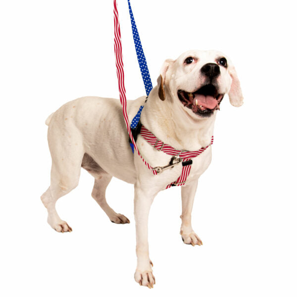 Star Spangled Freedom No-Pull Dog Harness – EarthStyle