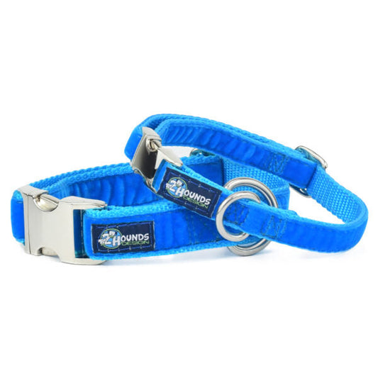 Venetian Blue Velvet Essential Martingale Dog Collar