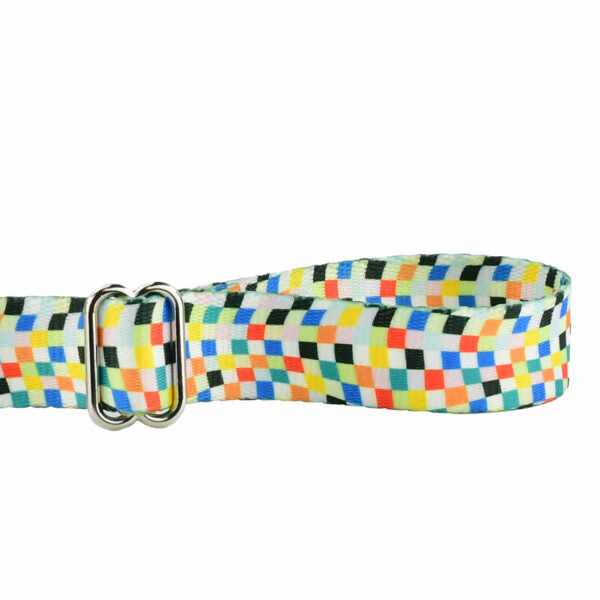 Indy Flag Dog Leash – EarthStyle