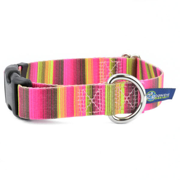 Bonnie Buckle Martingale Dog Collar – EarthStyle