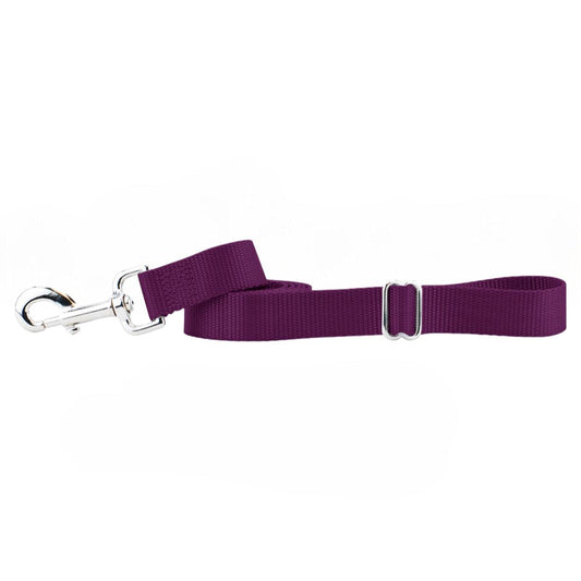 Burgundy Nylon Dog Leash