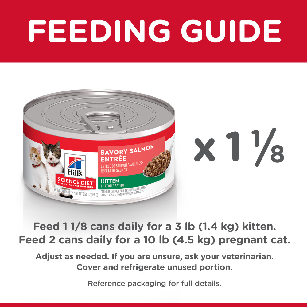 Hill's Science Diet Savory Salmon Entree Canned Kitten Food