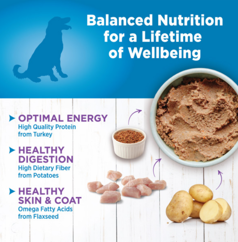 Wellness Simple Natural Limited Ingredient Diet Turkey and Potato Recipe Wet Canned Dog Food