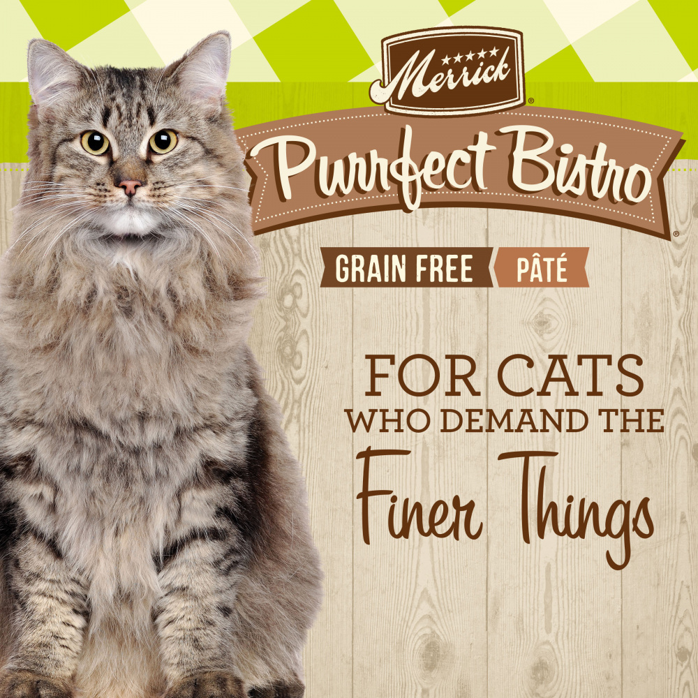 Merrick Purrfect Bistro Grain Free Premium Soft Canned Pate Adult Wet Cat Food, High Protein Turkey Recipe