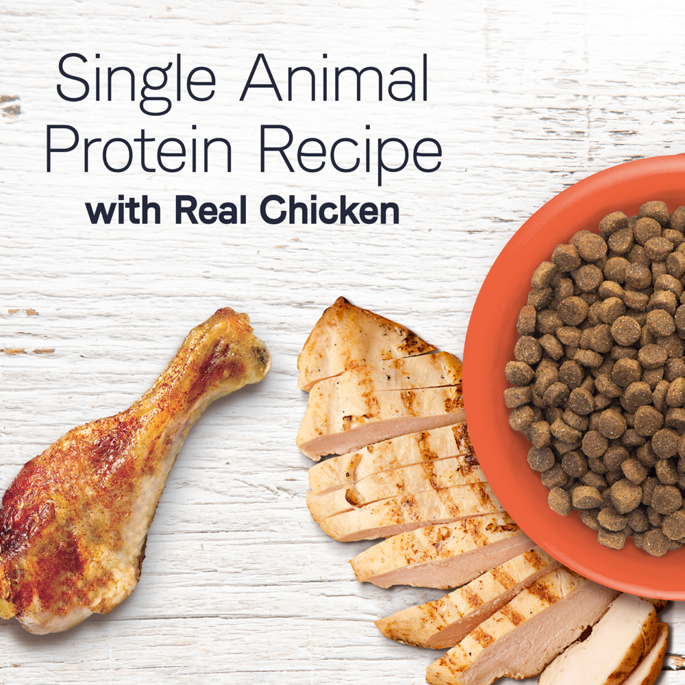 Canidae Under the Sun Grain Free Adult Chicken Recipe Dry Dog Food