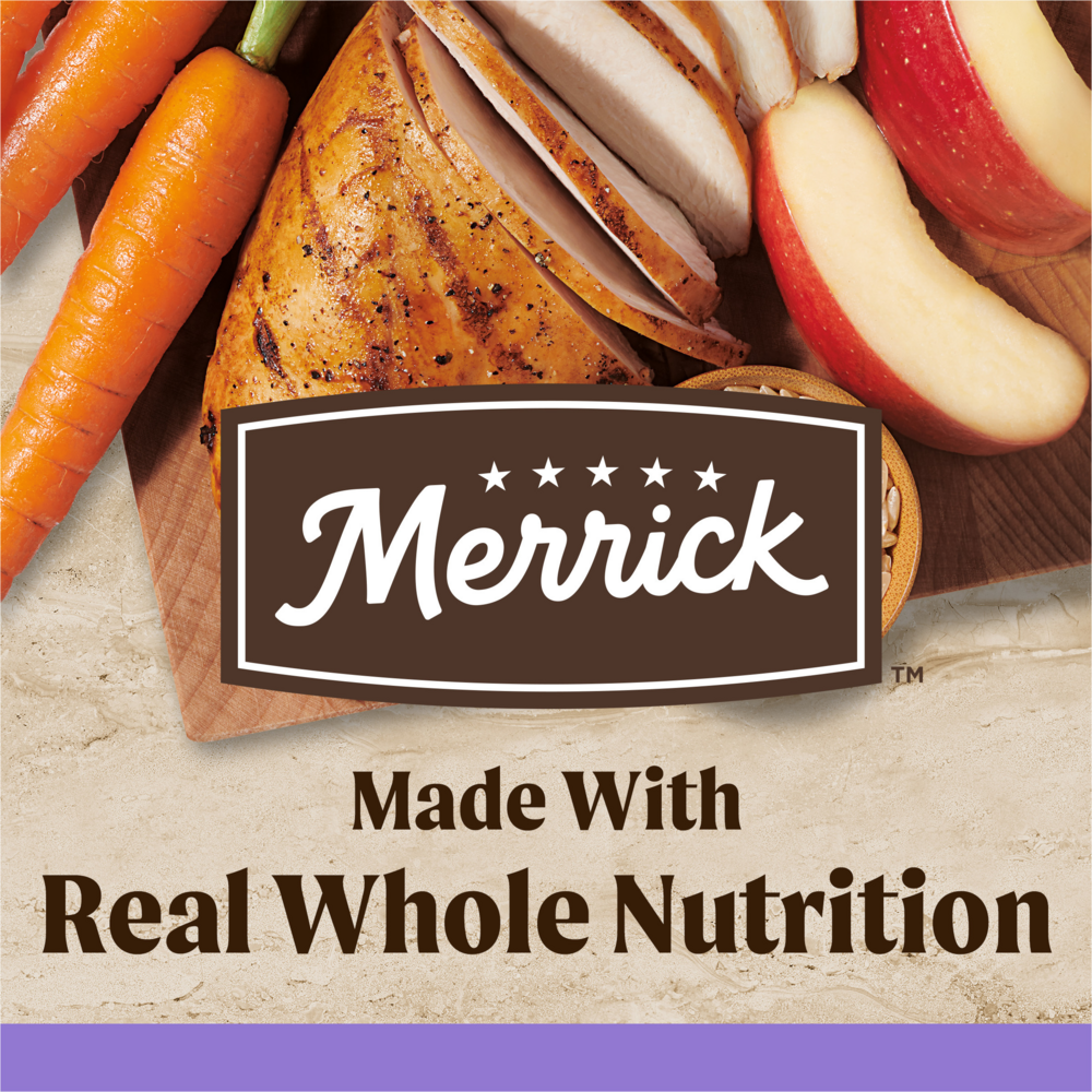 Merrick Healthy Grains Premium Dry Dog Food Wholesome And Natural Kibble For Healthy Digestion Puppy Recipe