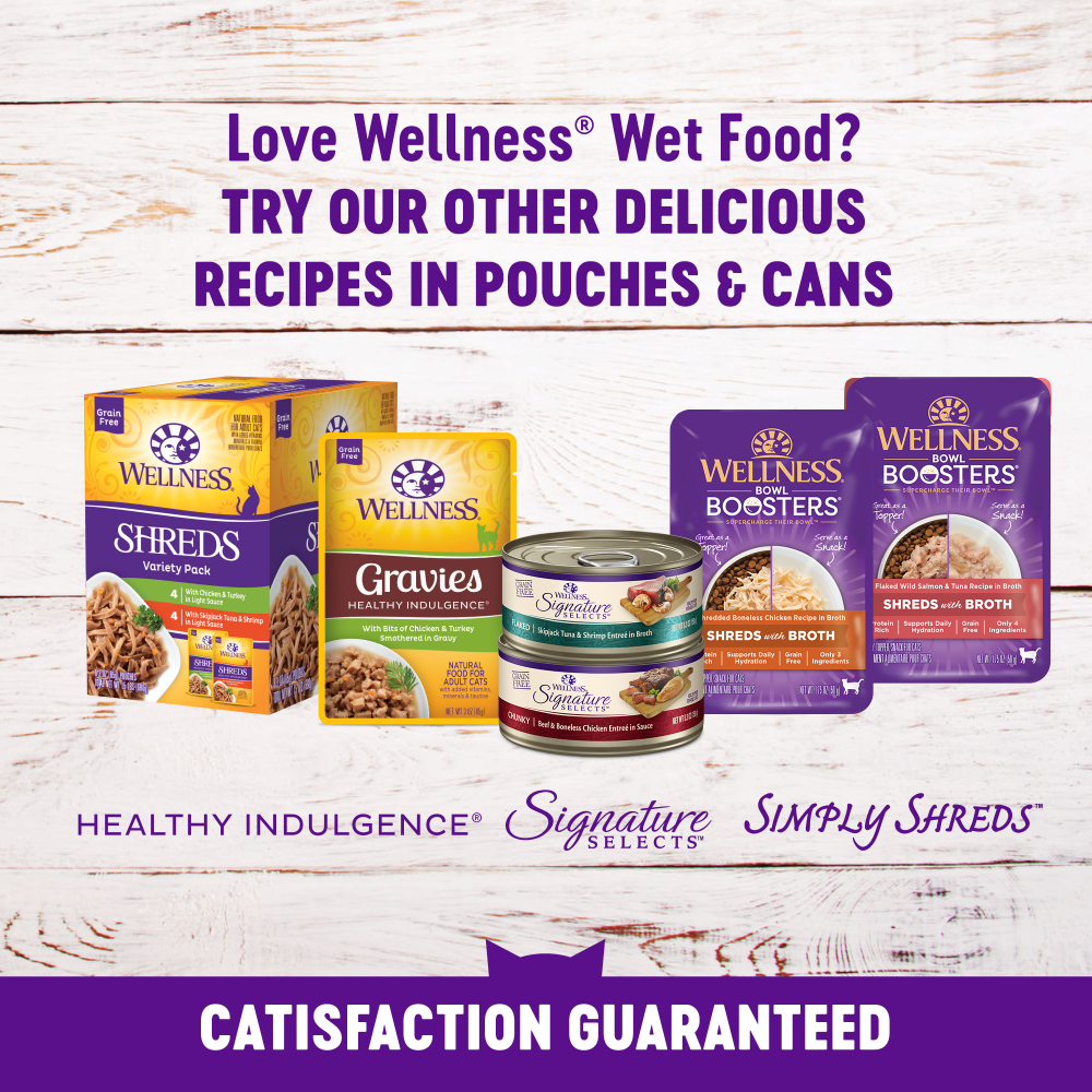 Wellness Healthy Indulgence Natural Grain Free Morsels with Chicken and Chicken Liver in Savory Sauce Cat Food Pouch