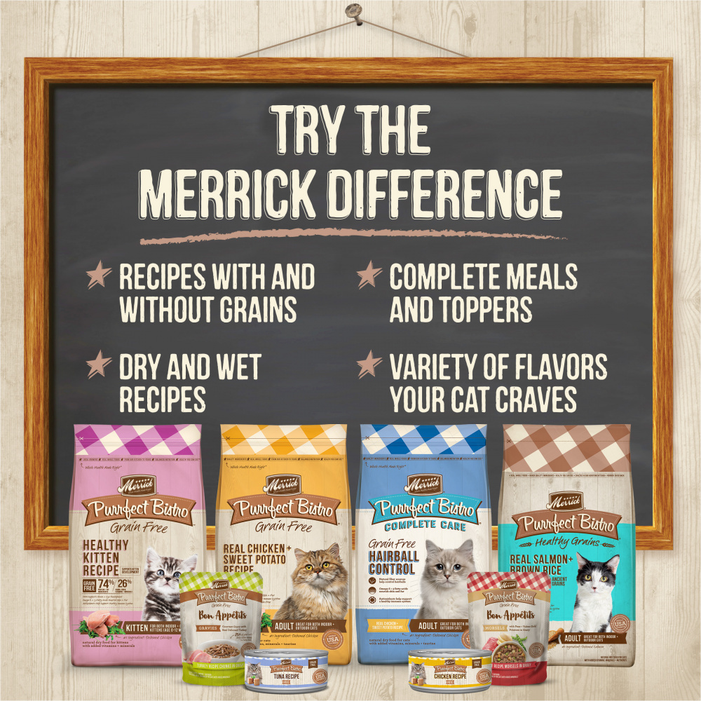 Merrick Purrfect Bistro Grain Free Rabbit Pate Canned Cat Food