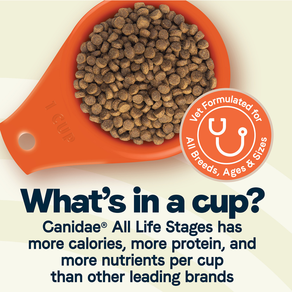 All Life Stages Large Breed Formula with Turkey Meal & Brown Rice Dry Dog Food