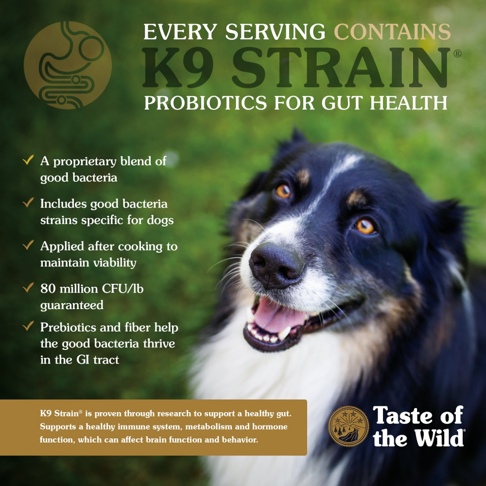 Taste of the Wild Ancient Wetlands with Ancient Grains Dry Dog Food