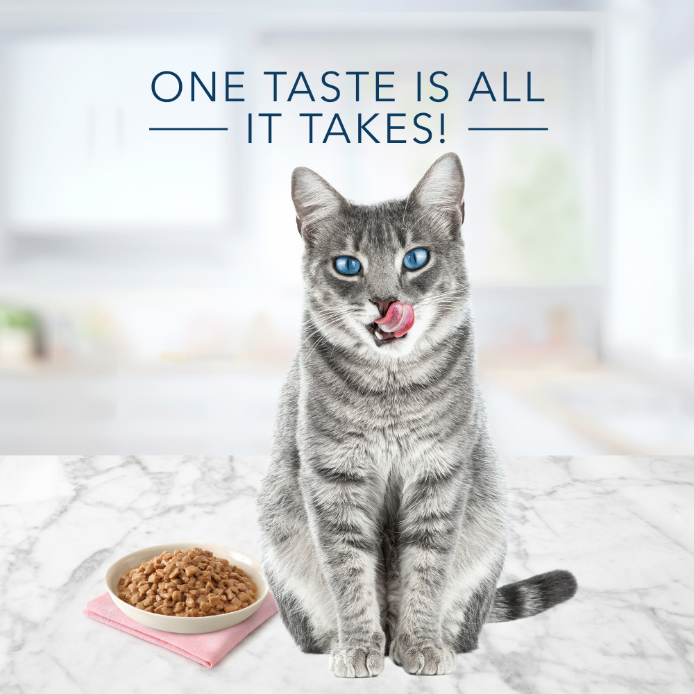 Blue Buffalo Tastefuls Adult Tender Morsels Tuna Entree in a Savory Sauce Wet Cat Food