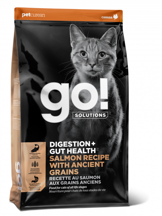 GO! SOLUTIONS DIGESTION GUT HEALTH Salmon Recipe with Ancient Grains for cats