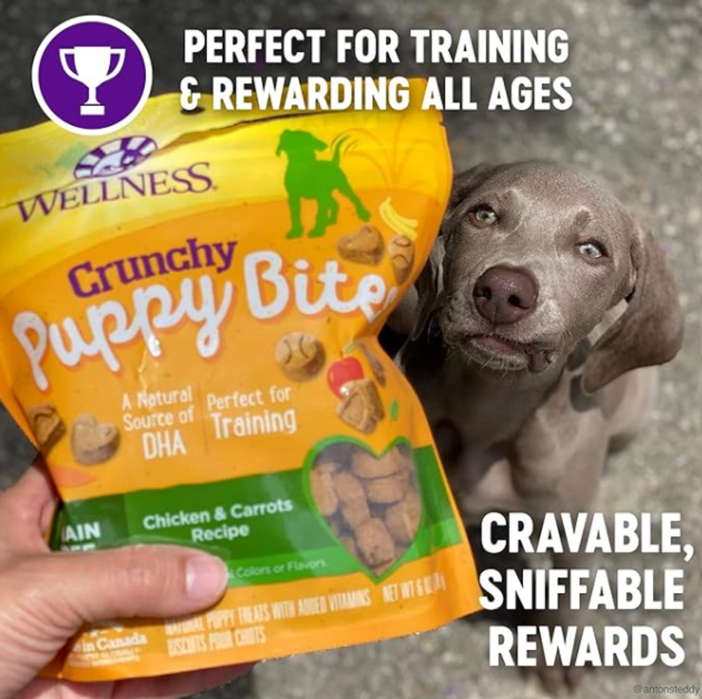 Wellness Natural Grain Free Crunchy Puppy Bites Chicken and Carrots Recipe Dog Treats