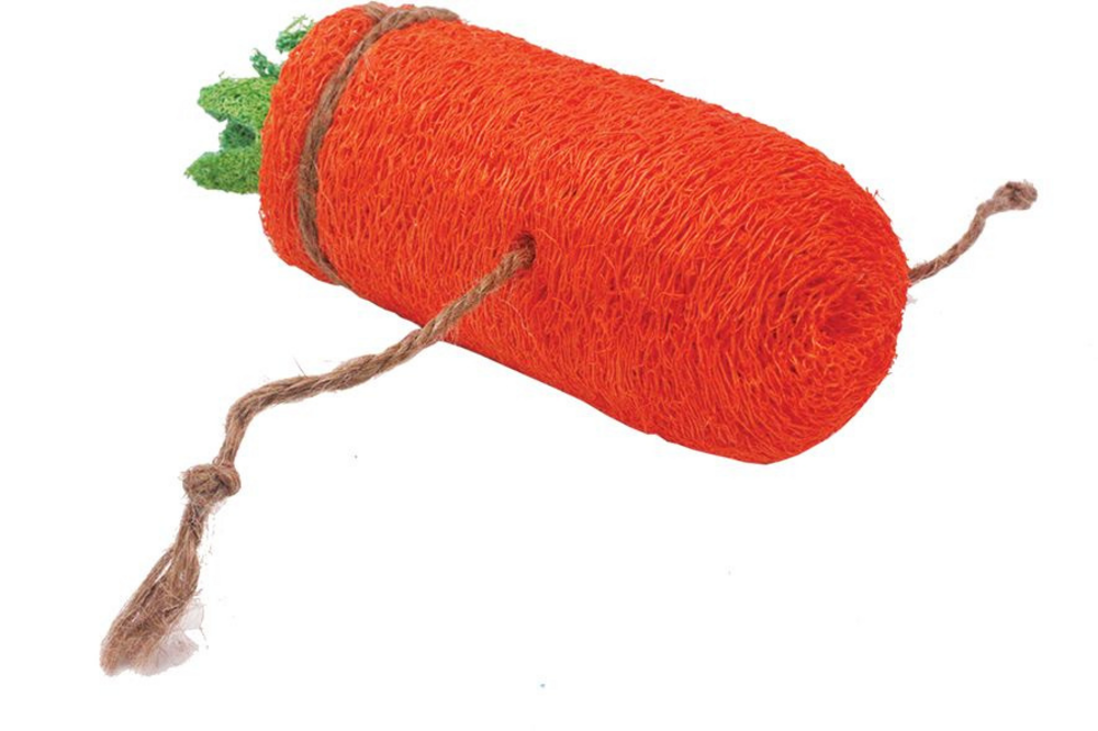 A&E Nibbles Loofah Carrot Small Animal Toy