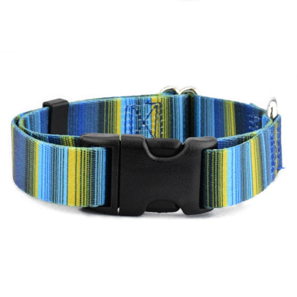 Clyde Dog Collar – EarthStyle