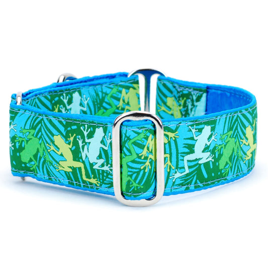 Coqui Surf – Exclusive Buckle Martingale Dog Collar