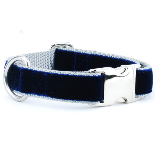 Navy/Silver Holiday Velvet Essential Dog Collar