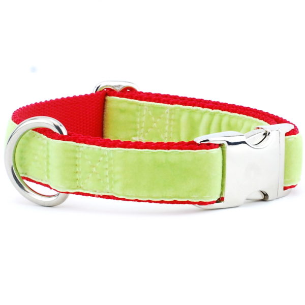 Lime Green/Red Holiday Velvet Essential Dog Collar