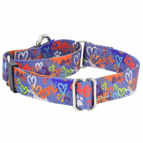 Love Graffiti Blue Martingale Dog Collar – EarthStyle