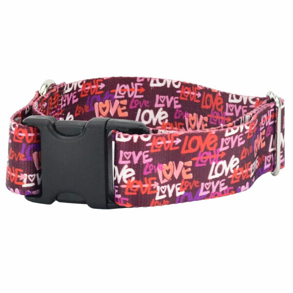 Love Graffiti Red Dog Collar – EarthStyle