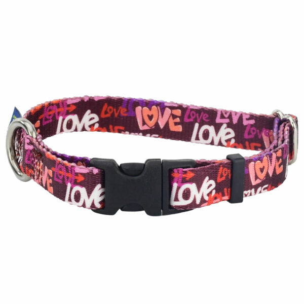 Love Graffiti Red Dog Collar – EarthStyle