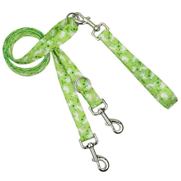 Lucky Dog Double Connection Leash – EarthStyle