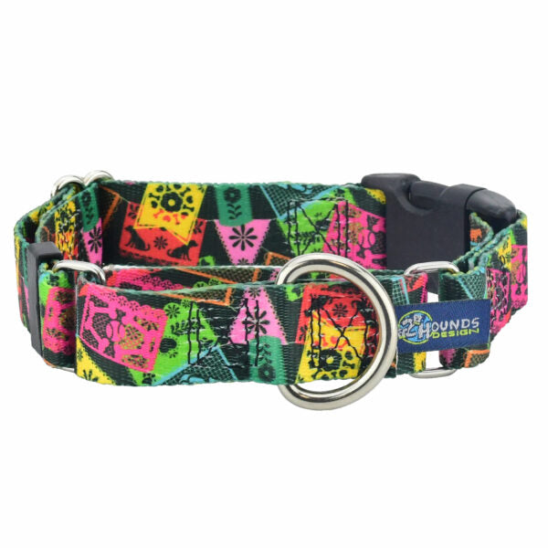 Paper Flags Buckle Martingale Dog Collar – EarthStyle