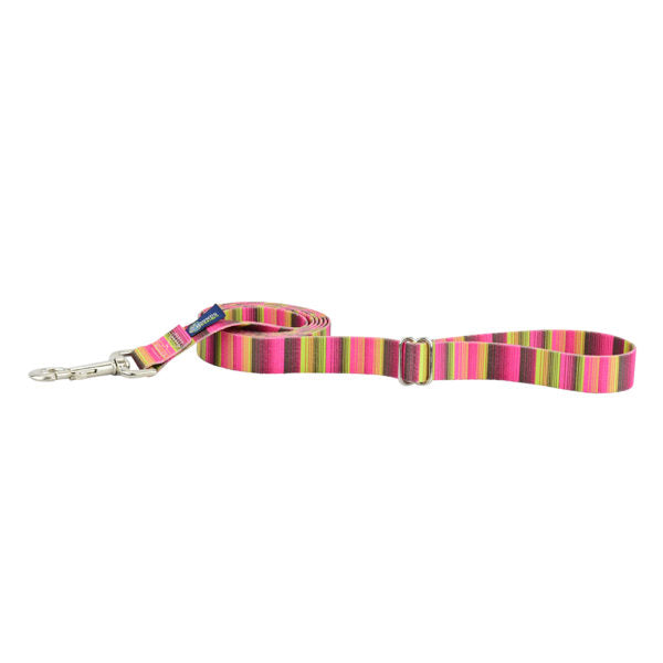 Bonnie Dog Leash – EarthStyle