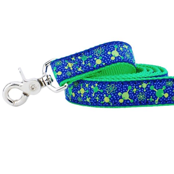 1″ Molecular Ribbon Dog Leash