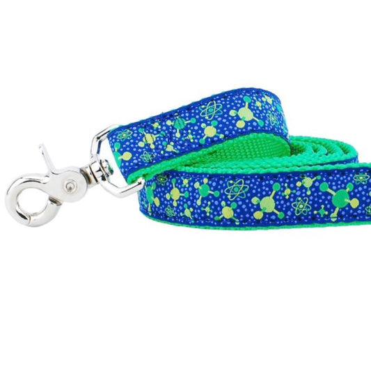 1″ Molecular Ribbon Dog Leash