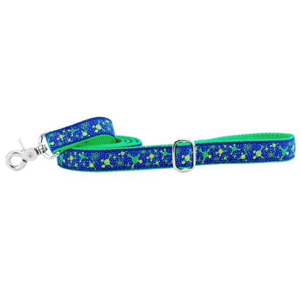 1″ Molecular Ribbon Dog Leash