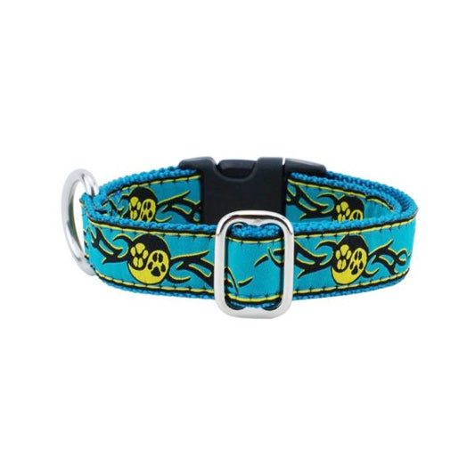 1″ Paw Yang Teal Essential Dog Collar