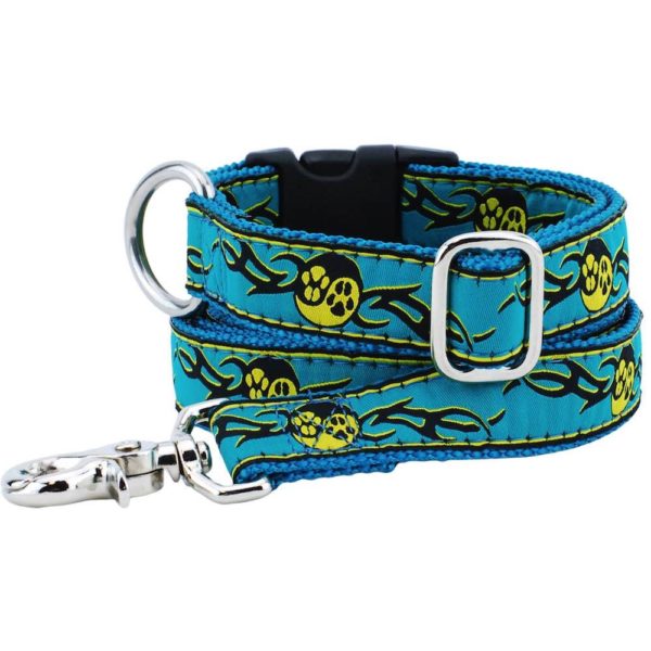 1″ Paw Yang Teal Essential Martingale Dog Collar