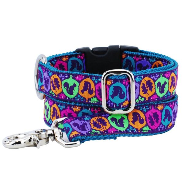 1″ Squirrel Essential Martingale Dog Collar