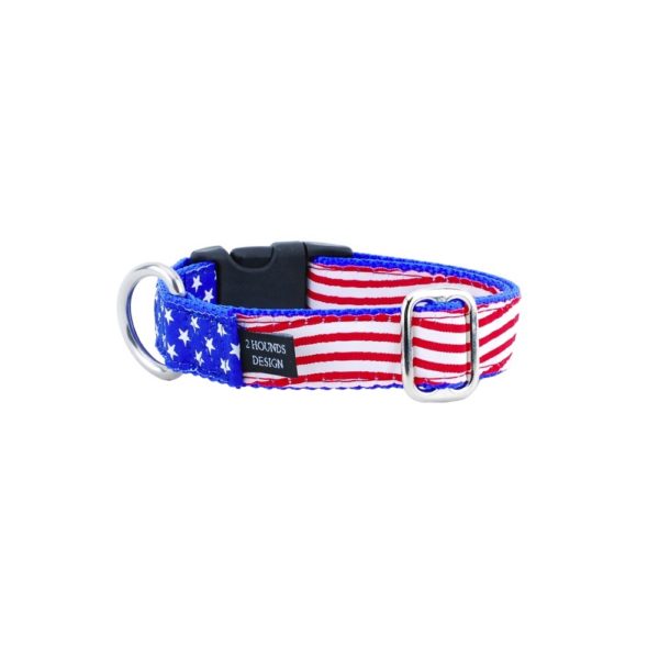 1″ Stars and Stripes Essential Martingale Dog Collar