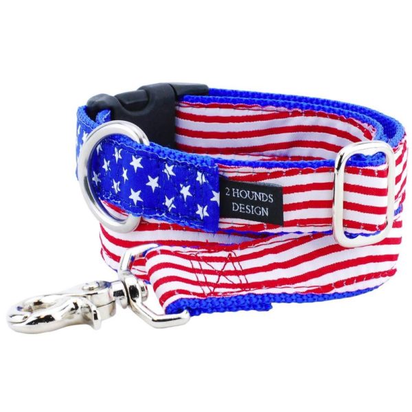 1″ Stars and Stripes Essential Buckle Martingale Dog Collar