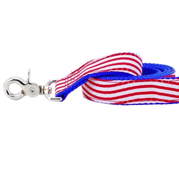 1″ Stars and Stripes Ribbon Dog Leash