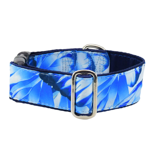 Farfalle – Exclusive Buckle Martingale Dog Collar