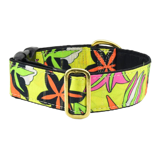 Florence –  Exclusive Dog Collar