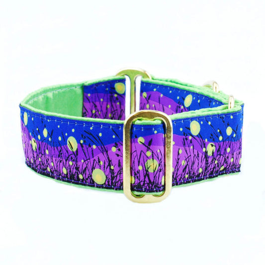 Lightning Bugs – Exclusive Martingale Dog Collar