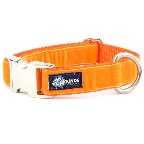 Orange Velvet Essential Martingale Dog Collar (1″ Only)