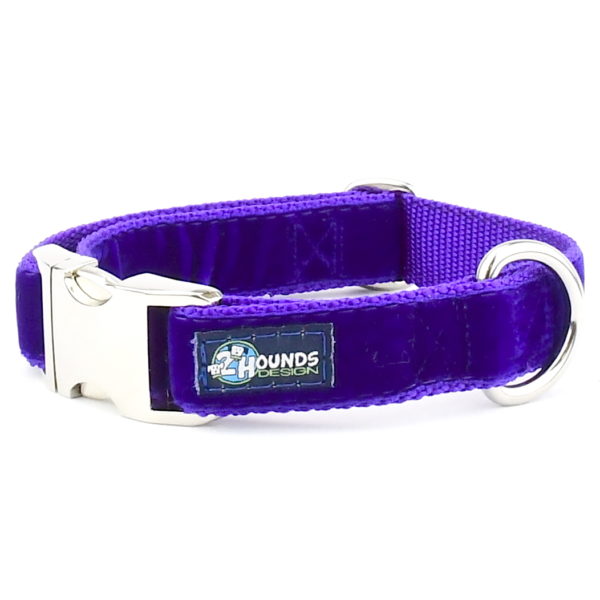 Purple Velvet Essential Buckle Martingale Dog Collar