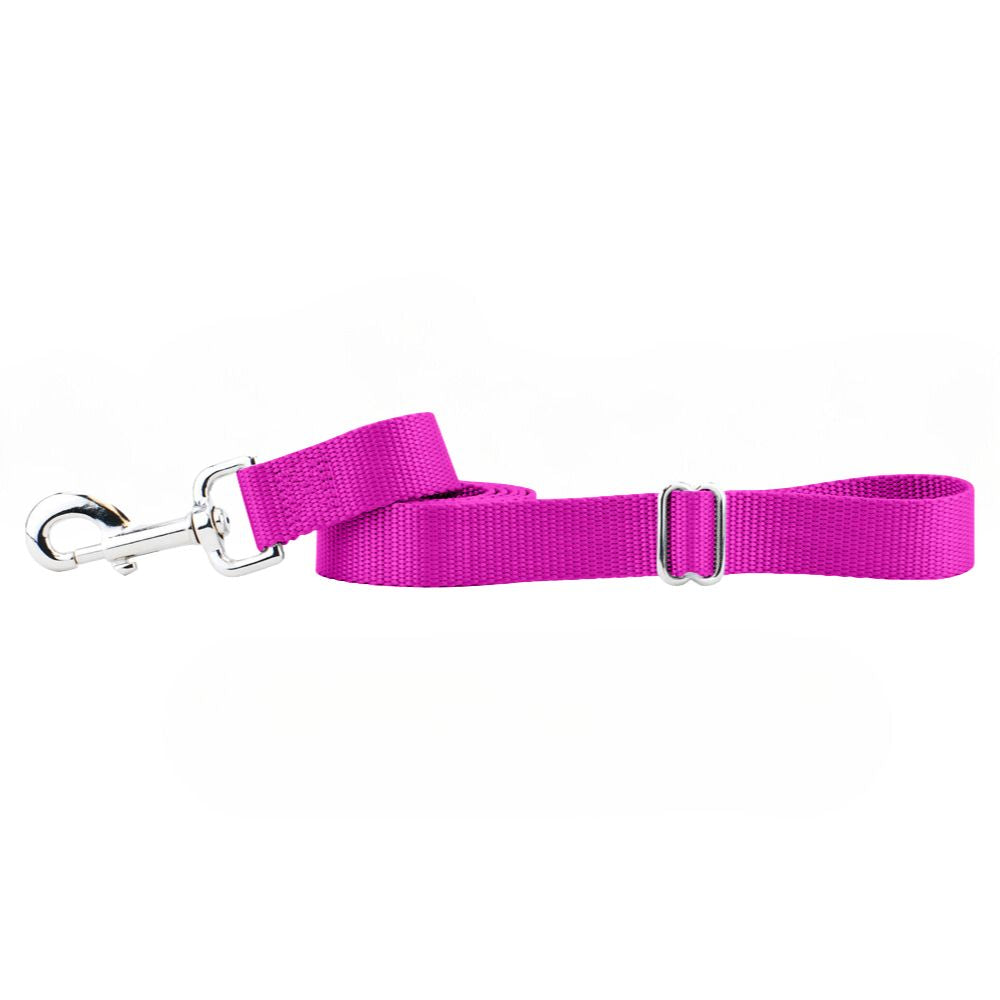 Raspberry Nylon Dog Leash