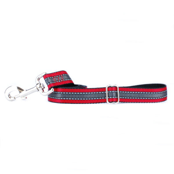 Reflective Red Nylon Dog Leash