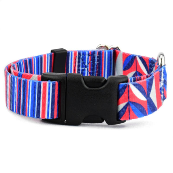 Rocky Dog Collar – EarthStyle