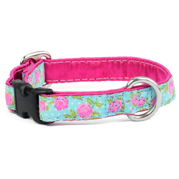 5/8″ Rosy Dots Aqua Buckle Martingale Dog Collar